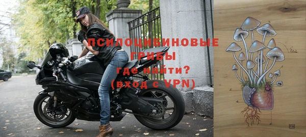 a pvp Нязепетровск