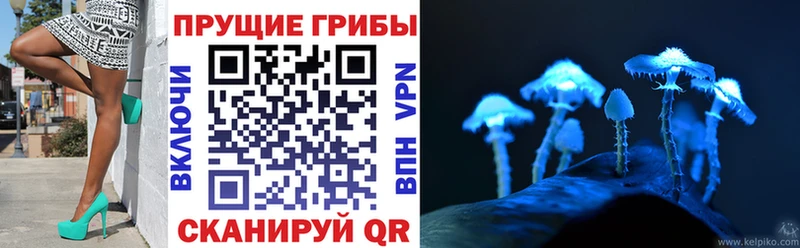 где найти наркотики  Черепаново  Галлюциногенные грибы MAGIC MUSHROOMS 